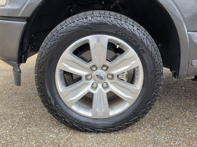 2020 Ford F-150 Platinum