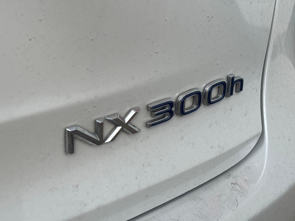 2020 Lexus NX 300h