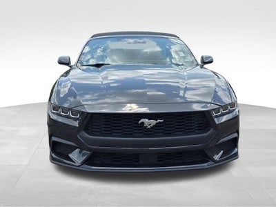 2024 Ford Mustang EcoBoost